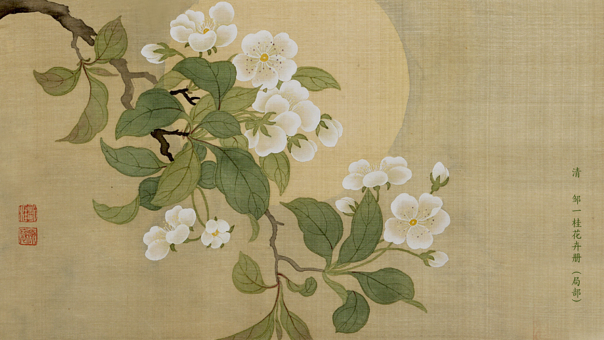 女孩起名:《周易》清秀大方的女孩名字,每一个都很小清新